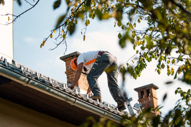 Best Emergency Roof Repair  in La Vale, MD